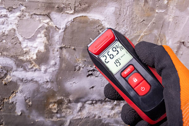 Reliable Montclair, VA Mold Remediation Solutions