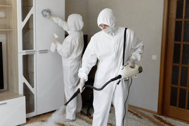 Best Industrial Mold Remediation in Montclair, VA