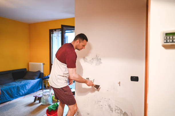 Best Residential Mold Remediation in Montclair, VA